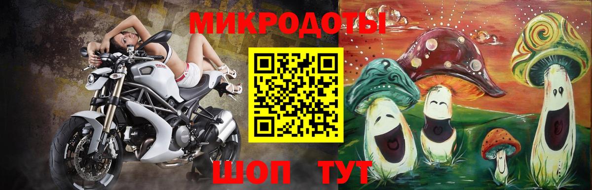 Псилоцибиновые грибы Psilocybe  Вход с VPN  Барабинск 